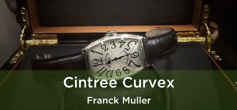  Cintree Curvex Franck Muller